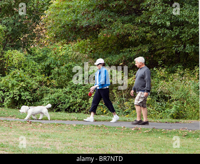 Una coppia senior l uomo e la donna a piedi il loro piccolo cane bianco nel parco. Foto Stock