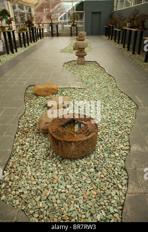 C.V. Starr Bonsai Museum, la più antica collezione di alberi nani e in vaso negli Stati Uniti Brooklyn Botanic Garden New York Foto Stock