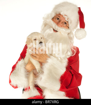 Santa Claus portando a 6 settimane di età golden retriever cucciolo Foto Stock