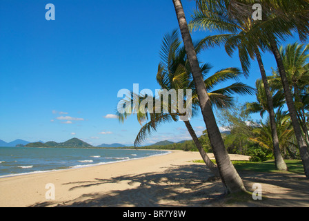 Cove di Palm Foto Stock