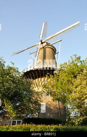 Molen de Valk, windmill museum di Leiden, Paesi Bassi Foto Stock
