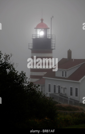 Il faro di Capo Quoddy parco dello stato in Lubec, Maine Foto Stock