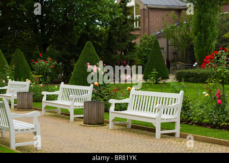 Giardino di Rose e topiaria da in Artis Zoo, Amsterdam, Olanda Foto Stock