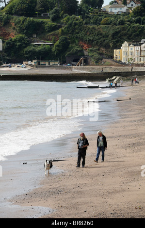 Una coppia di mezza età a piedi il loro cane Collie sulla spiaggia a Dawlish nel Devon Foto Stock