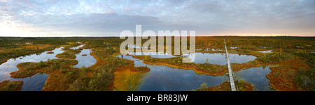 Vista panoramica su Männikjärve Bog, Endla Riserva Naturale, Estonia Foto Stock