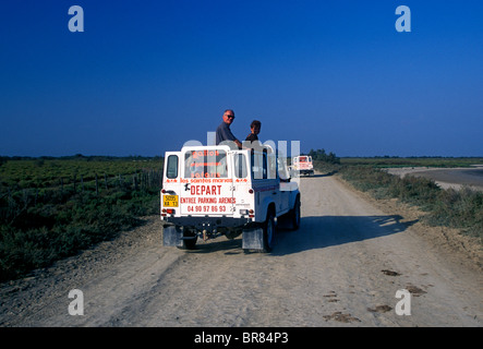 Il popolo francese, turisti, natura, safari tour in jeep, tour guidato, gruppo di tour, in vacanza in vacanza Camargue, Bouches-du-Rhone, Francia, Europa Foto Stock