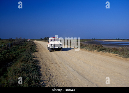 Il popolo francese, turisti, natura, safari tour in jeep, tour guidato, gruppo di tour, in vacanza in vacanza Camargue, Bouches-du-Rhone, Francia, Europa Foto Stock