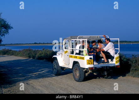 Il popolo francese, turisti, natura, safari tour in jeep, tour guidato, gruppo di tour, in vacanza in vacanza Camargue, Bouches-du-Rhone, Francia, Europa Foto Stock