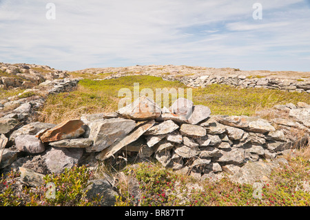 Storico di pareti in pietra, griglie Cove pareti di roccia National Historic Site, griglie Cove, Terranova, Canada; costruito 1700s-1900s Foto Stock