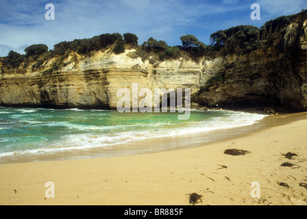 Spiaggia sulla Great Ocean Road, nei pressi di Melbourne, Australia dodici apostoli di arenaria caratteristiche naturali grotta mare scogliera Foto Stock