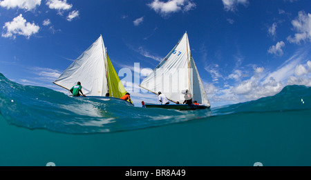 Split-vista a livello di colorate imbarcazioni locali racing a Grenada Sailing Festival, Caraibi, 2006. Foto Stock