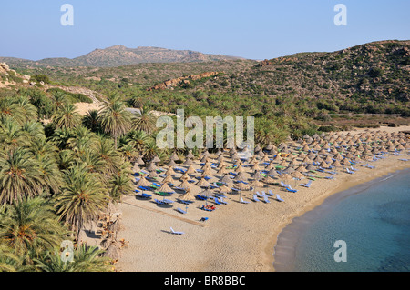 Vai spiaggia sotto la mattina presto luce, Lassithi, Creta, Grecia Foto Stock