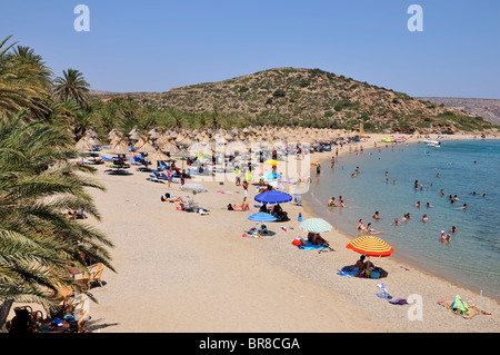 Vai beach, Lassithi, Creta, Grecia Foto Stock