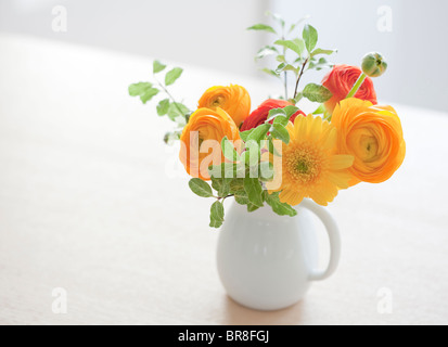 Giallo e arancio fiori in vaso bianco Foto Stock