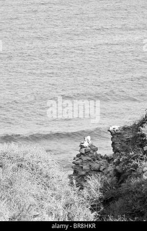 Crusader fossato al Apollonia ,Israele Foto Stock