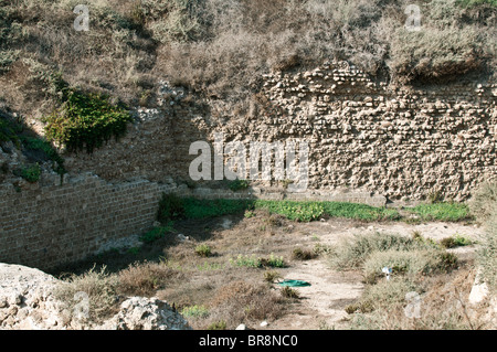 Crusader fossato al Apollonia ,Israele Foto Stock