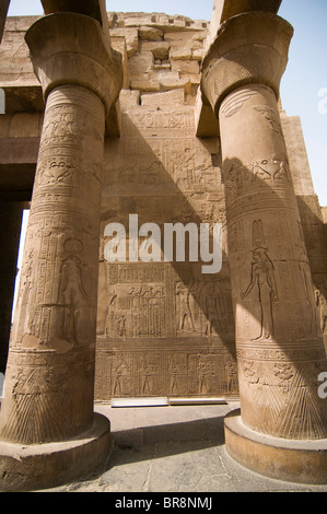 Bassorilievo di disegni in Kom Ombo tempio in Alto Egitto Foto Stock