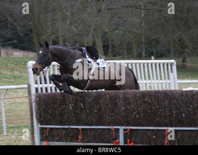 Cavallo allentati saltando su un recinto durante un punto a punto gara Foto Stock