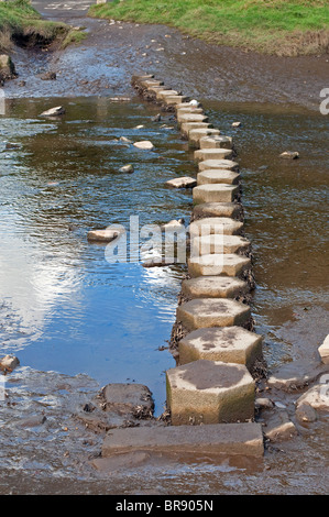 Pietre miliari nel fiume fowey a lerryn vicino a Lostwithiel in Cornovaglia, Regno Unito Foto Stock