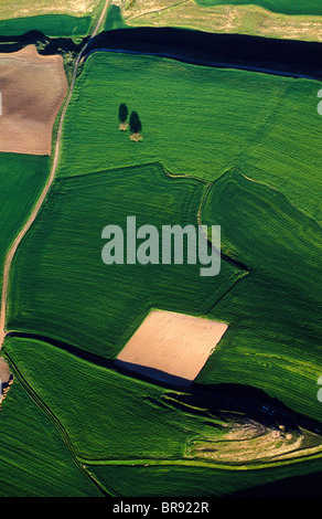 Terreni coltivati. Vista aerea della Bureba regione. A Burgos. Castilla y León. Spagna. Il Cammino di San Giacomo Foto Stock