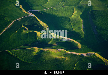 Terreni coltivati. Vista aerea della Bureba regione. A Burgos. Castilla y León. Spagna. Il Cammino di San Giacomo Foto Stock