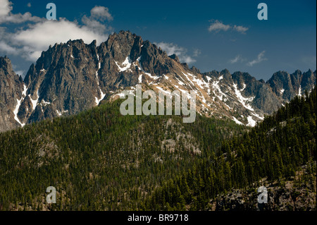 Lungo la bella e paesaggistica North Cascades Highway over Washington Pass, erte cime emergono da forestlands. Foto Stock