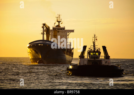 Port Everglades, Florida, Stati Uniti d'America. Traino Seabulk's SDM, St. Johns, assistendo nave portacontainer, Asian Sun nella porta Foto Stock