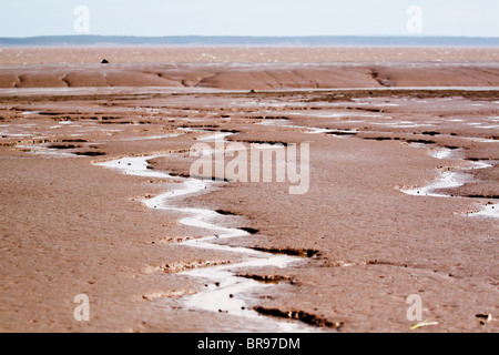 Velme e orizzonte. Foto Stock