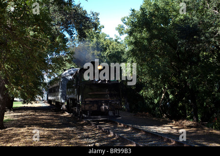 Treno a vapore dalla California State Railroad Museum Foto Stock