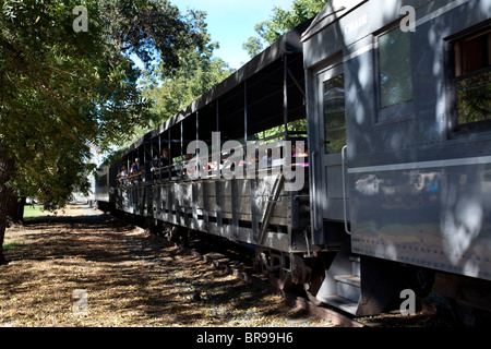 Treno a vapore dalla California State Railroad Museum Foto Stock