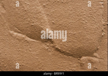 Still Life, dipinto di parete in cemento Foto Stock