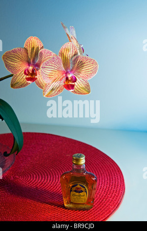 Una bottiglia di Crown Royal Canadian whisky e un ibrido orchid Foto Stock