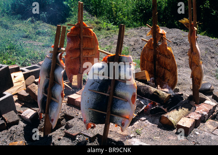 Anni Novanta NATIVE AMERICAN METODO DI SALMONE PER FUMATORI Foto Stock