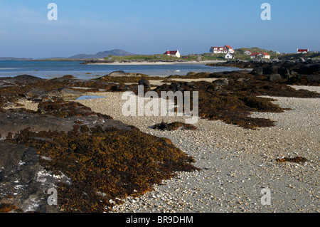 Traigh Mhòr (grande spiaggia) baia a Isle of Barra, Ebridi Esterne, Scozia Foto Stock