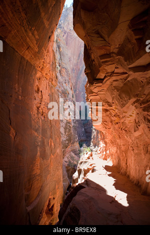 Slot canyon trail all'interno del Parco Nazionale di Zion nel sud dello Utah. Foto Stock