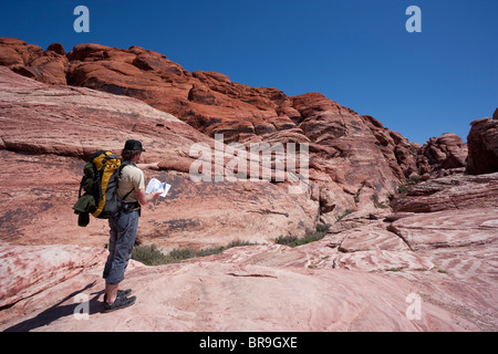 Scalatore maschio con la topografia prenota in Red Rock Canyon National Conservation Area, Nevada, STATI UNITI D'AMERICA Foto Stock