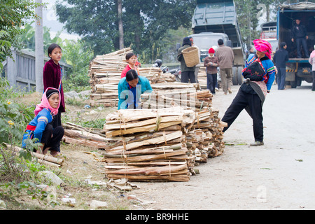 Minoranza donne vietnamita Vendita legna da ardere a Bac ha mercato domenicale Foto Stock