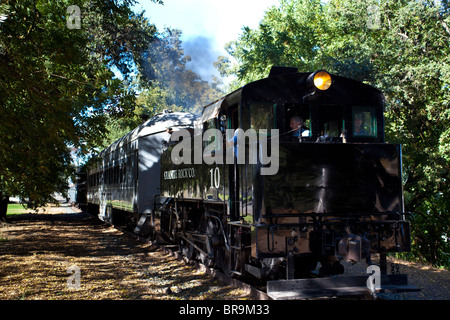 Treno a vapore dalla California State Railroad Museum Foto Stock