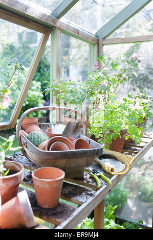 Attrezzature da giardinaggio sul banco di lavoro in Potting Shed Foto Stock