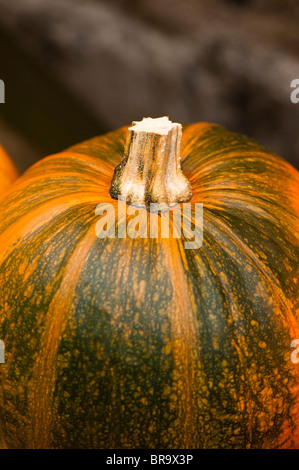 In prossimità di un campo da squash a Painswick Giardino rococò in Cotswolds, Regno Unito Foto Stock