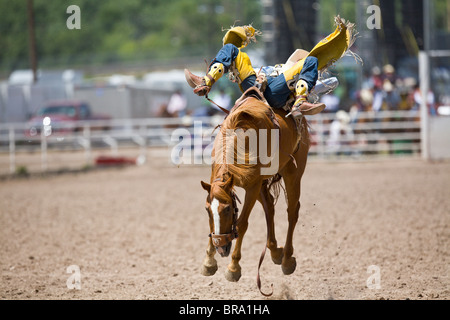 Rodeo Cowboy Bobby Mote sdraiato sulla schiena del cavallo come va airborn nel 2009 Wyoming Cheyenne Frontier Days Foto Stock