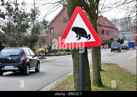 Segnale di avvertimento per la migrazione di anfibi / rospi attraversando la strada durante la migrazione annuale in primavera, Belgio Foto Stock