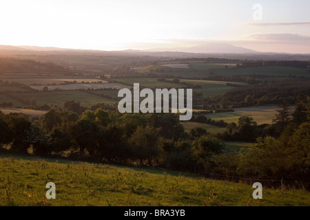 Vicino Croaghaun Mountain, Co Waterford, Irlanda Foto Stock