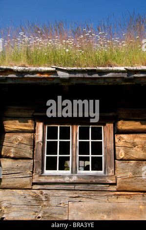 Norvegia, Trondheimsforden, Trondheim. Sverresborg open-air Museum . Tipico edificio di legno con tetto di SOD. Foto Stock