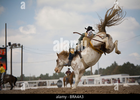 Cody DeMers in arrivo per un atterraggio mentre competere nel 2009 Wyoming Cheyenne Frontier Days Rodeo Foto Stock