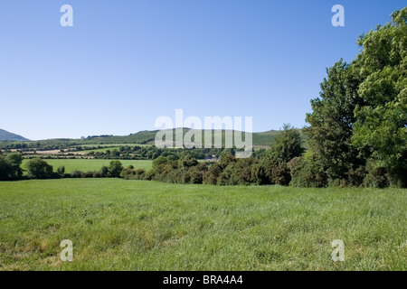 Scena pastorale, vicino Croaghaun Mountain, Co Waterford, Irlanda Foto Stock