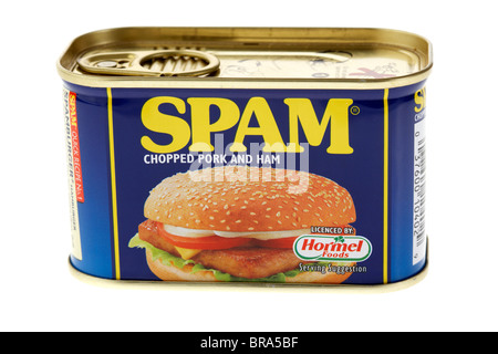 Lo stagno di spam le conserve di carne di maiale e prosciutto carni processate su bianco Foto Stock