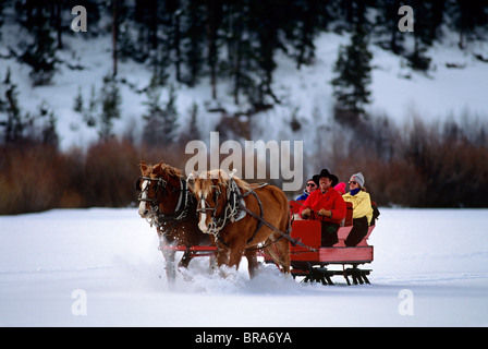 Persone a cavallo slitta trainata da cavalli GRANBY COLORADO Foto Stock
