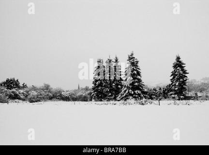 Immagine in bianco e nero di alberi ed edifici distanti nella neve. Foto Stock