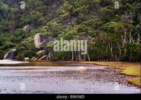 Wilsons Promontory National Park, Victoria, Australia Pacific Foto Stock
